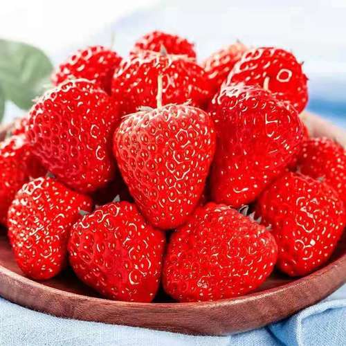 草莓新鲜现摘水果包邮应季香甜牛奶大非九九厂批发代发跨境电商