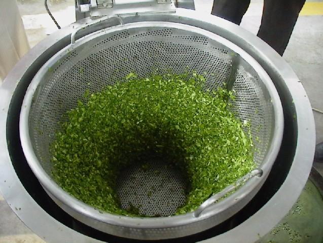 厂家yct-600全自动变频式蔬菜脱水机